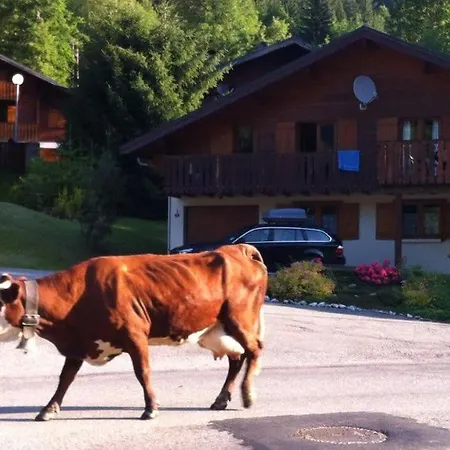 Chocolat * Chatel